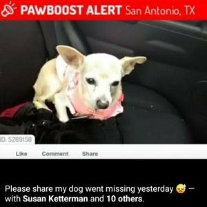 Meet your Posher, Shayla